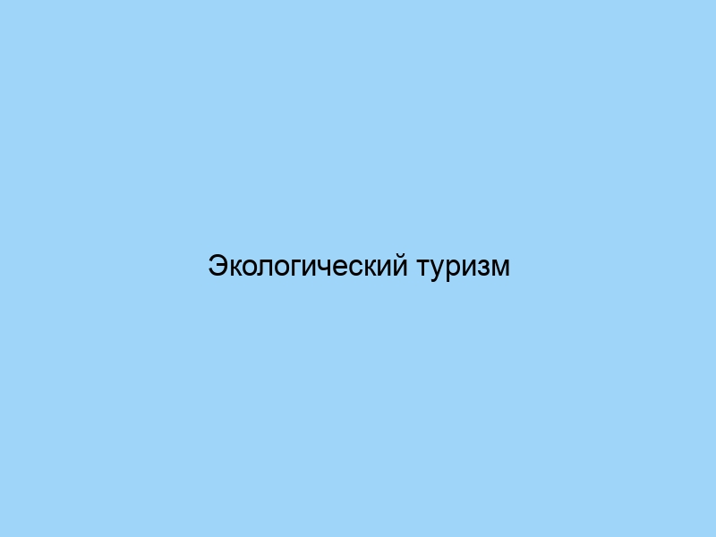 Экологический туризм путешествие с пользой для природы