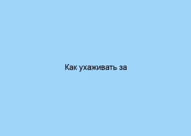 Как ухаживать за покрывалами разных брендов