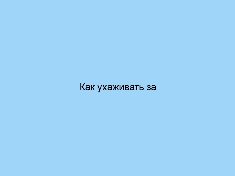 Как ухаживать за покрывалами разных брендов