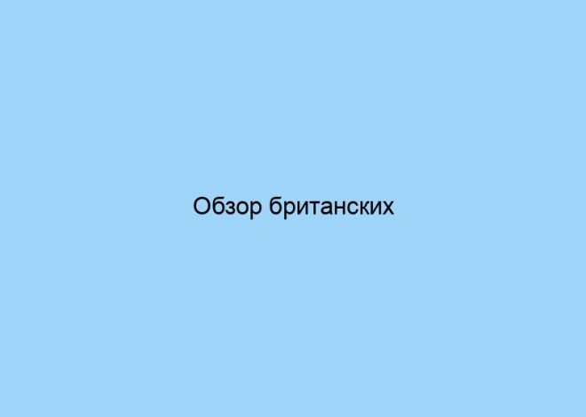 Обзор британских производителей высококачественных пледов