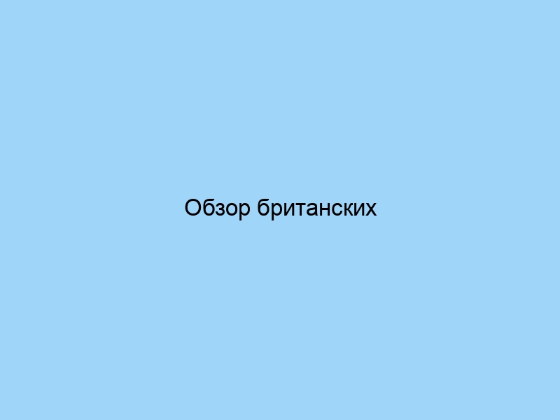 Обзор британских производителей высококачественных пледов