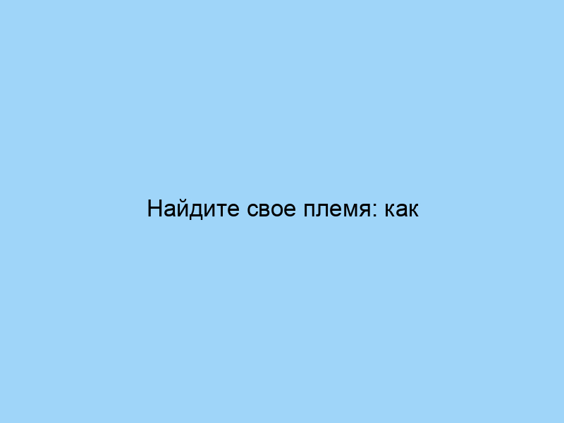 Найдите свое племя: как онлайн-форумы строят сообщества.