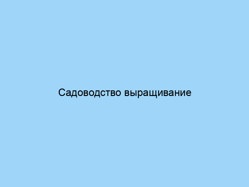 Садоводство выращивание цветов и овощей